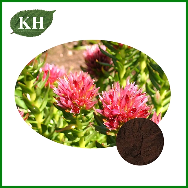 Rhodiola Rosea Extract Powder